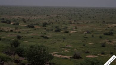 ميناء نواذيبو المستقل يحتضن حفل تسليم شهادات التكوين المهني لفائدة عماله